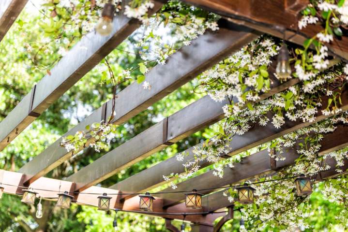 Pergola Groslay