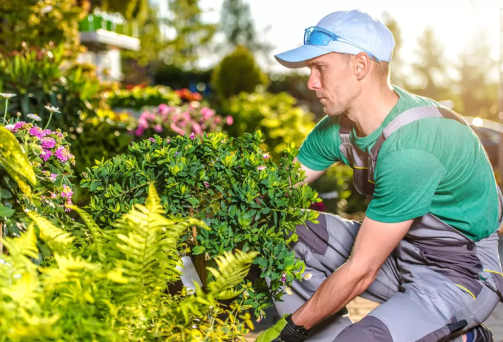 Concevoir le jardin de vos rêves.